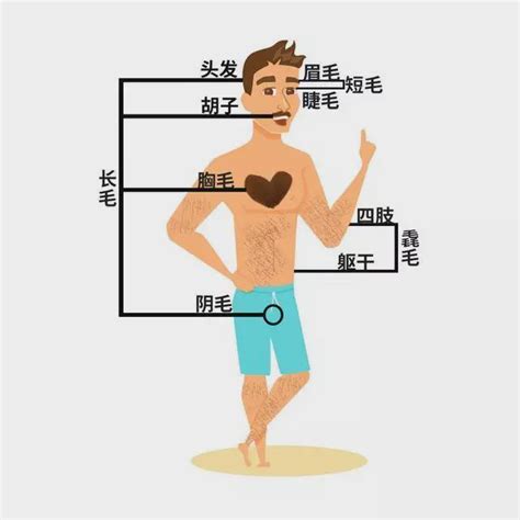 手臂突然長一根很長的毛|為啥身上會長出一兩根特別長的毛毛？是長壽聰明招財。